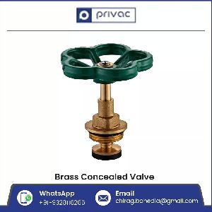 Brass Concealed Valve
