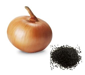 Onion Seeds