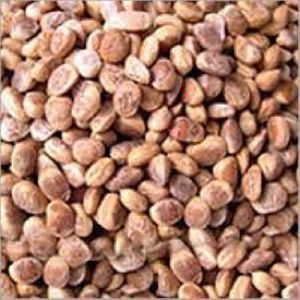 Charoli Seeds