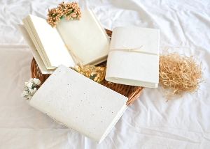 Seed Paper Diary - Set of 3