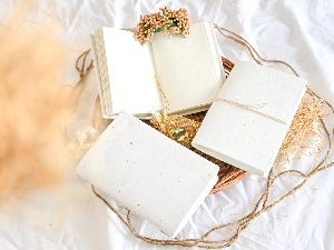Seed Paper Diary - Set of 3
