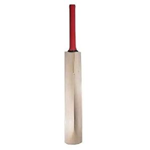 Long Handle Cricket Bat