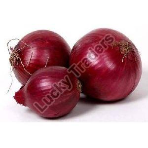 Fresh Onion