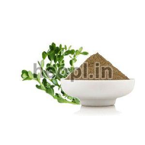 Brahmi Extract