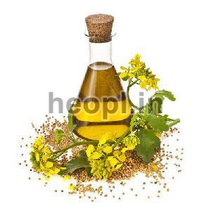 Cumin Oil
