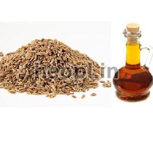 Cumin Oleoresin