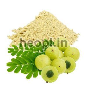 Indian Gooseberry Extract