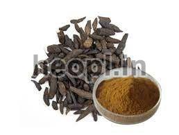 Nutgrass Extract