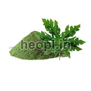 Papaya Leaf Extract