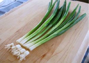 Fresh Green Onion