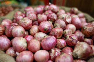 Fresh Pink Onion