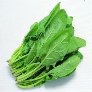 Fresh Spinach Leaves