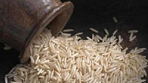 fortified rice