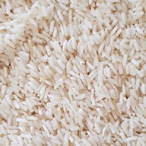 Organic Rice