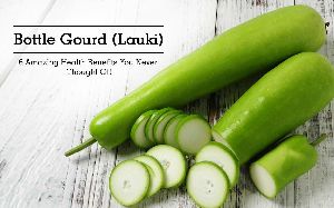 Fresh Bottle Gourd