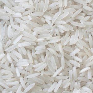 IR 36 Rice