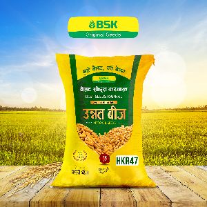 HKR47 Paddy Seed