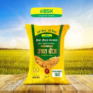 PUSA BASMATI 1847 Basmati seed