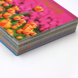Offset Printed Card
