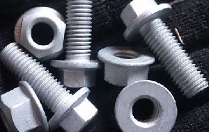 Duplex Steel UNS S31803 Fasteners