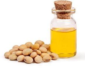 Soybean Oil