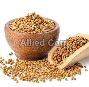 Coriander Seeds