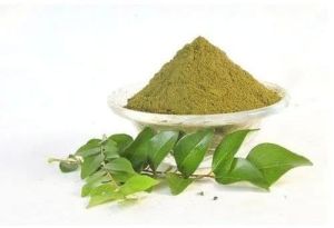 Dehydrated Curry Leaves Powder