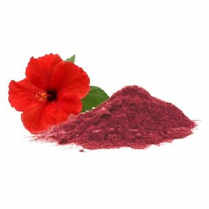 Hibiscus Powder