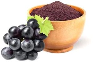 Spray Dried Jamun Powder