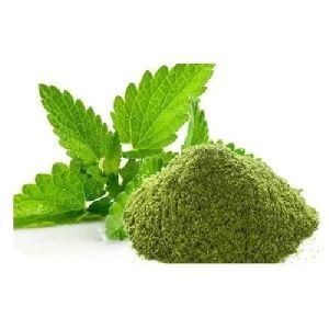 Spray Dried Mint Powder