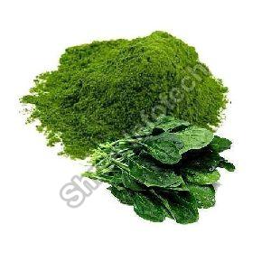 Dehydrated Spinach Powder