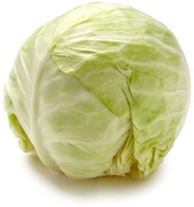 Fresh Green Cabbage