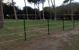Barbed Wire Fence