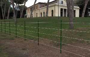 Barbed Wire Fence