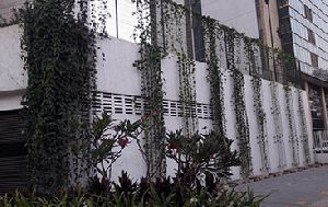 garden fence