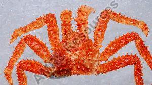 PREMIUM FROZEN KING CRAB 1400GM TO 1600GM