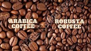 Top Quality Arabica Coffee And Robusta Coffee Beans For Sale