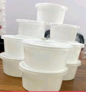 Plastic White Food Container