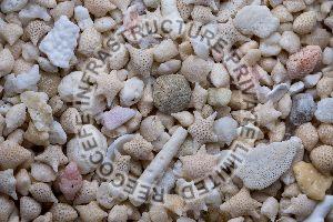 Biogenic Sand
