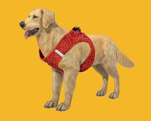 BFF Air Mesh Harness with Reflector Band