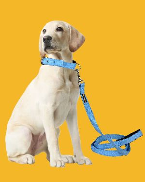 BFF Canvas Material Padded Leash & Collar