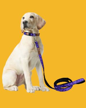 BFF Polka Dot Padded Leash & Collar