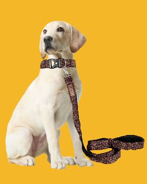 BFF Leopard Print Padded Leash & Collar