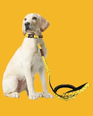 BFF Polka Dot Padded Leash & Collar