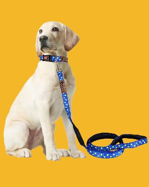 BFF Polka Dot Padded Leash & Collar