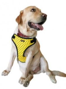 BFF Adjustable Air Mesh Pet Harness