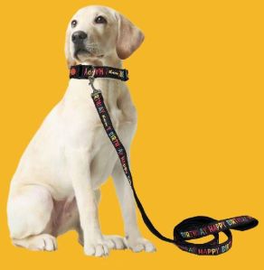 BFF Happy Birthday Padded Leash & Collar