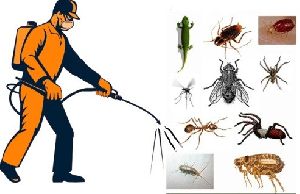 Insecticide License Services