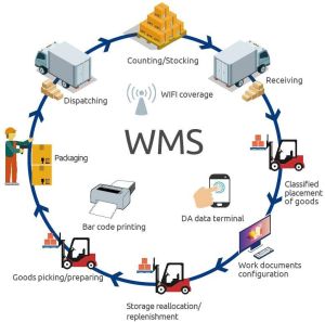 Best Warehouse Management Solution Providers Pristine Business Solutions