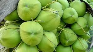 Green Coconut